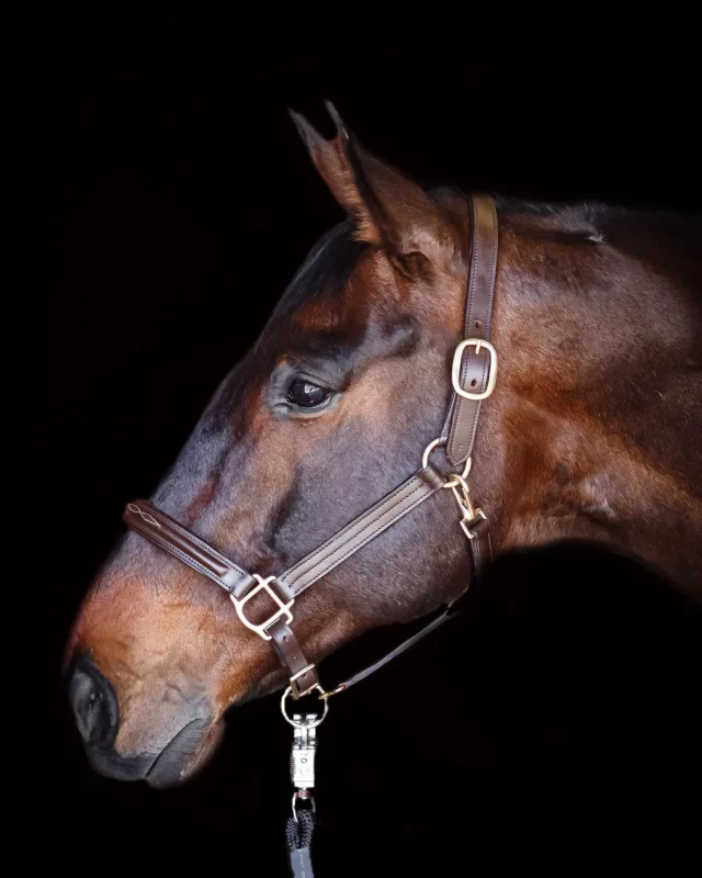 Asger Leather Halter