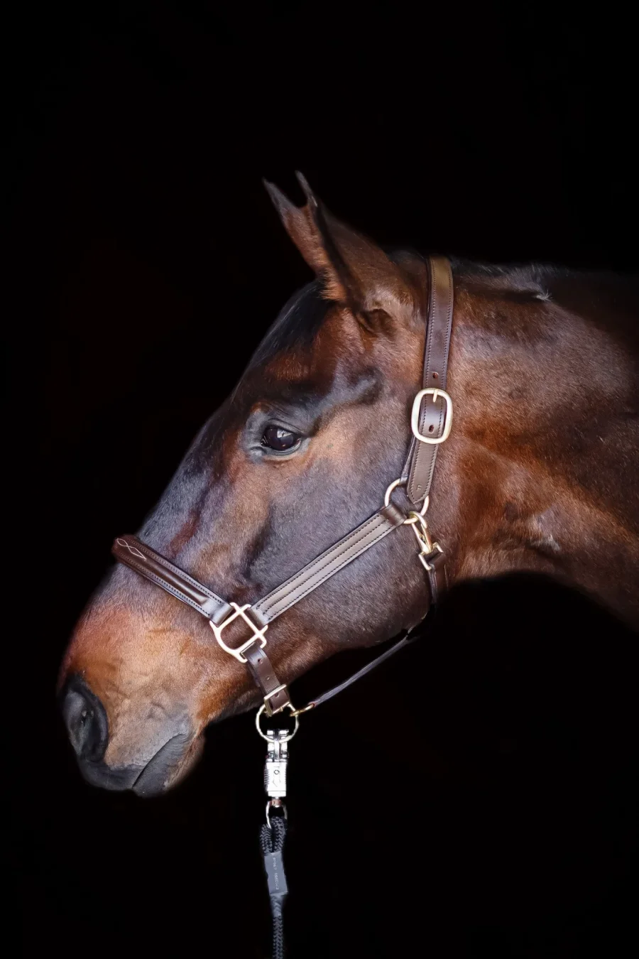 Asger Leather Halter