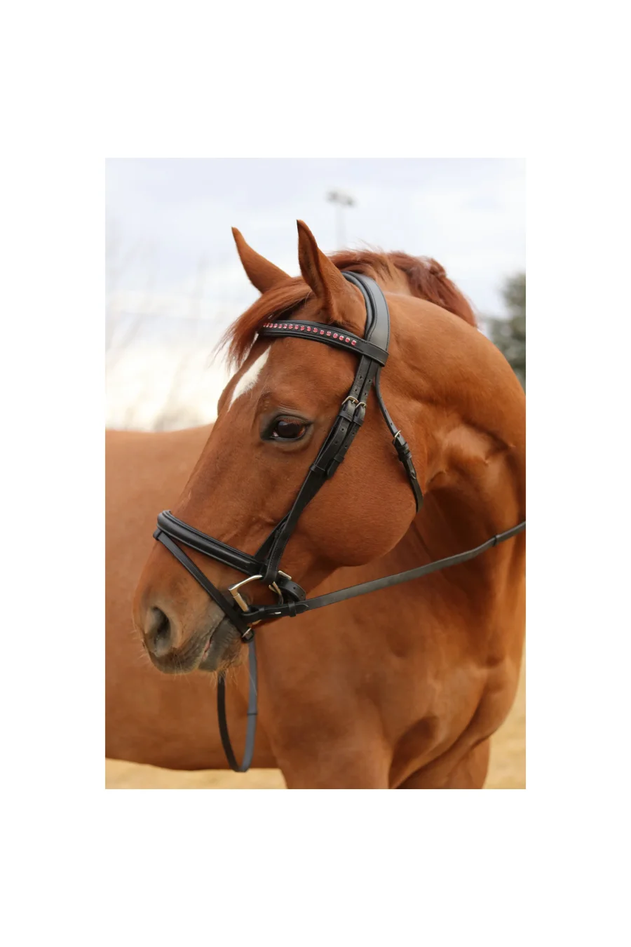 Tove Simple and Classic Dressage Bridle