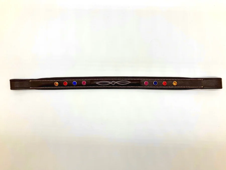 Unique Browband with Multicolored Crystals and Fancy Stitching
