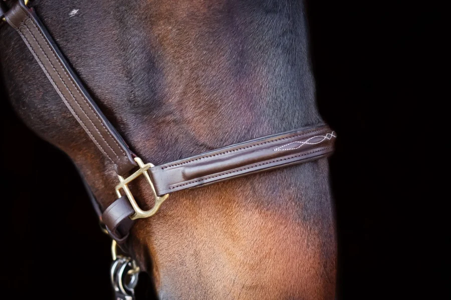 Asger Leather Halter