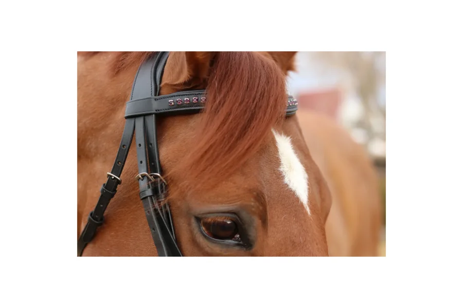 Tove Simple and Classic Dressage Bridle