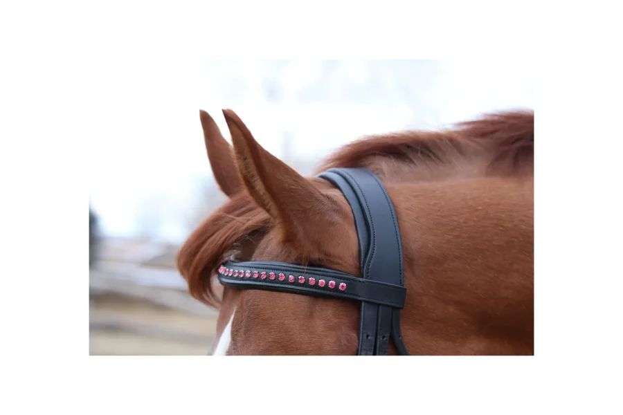 Tove Simple and Classic Dressage Bridle