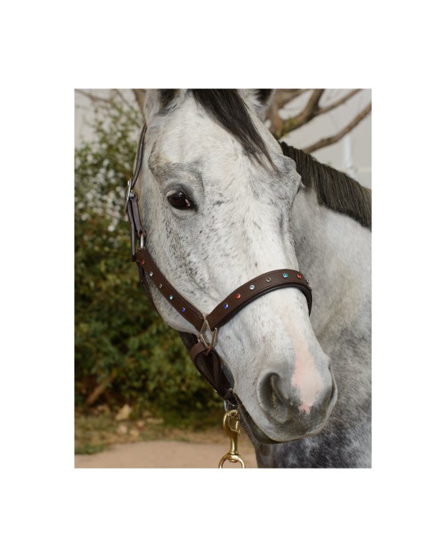 Saga Leather Halter with Dazzling Rhinestones
