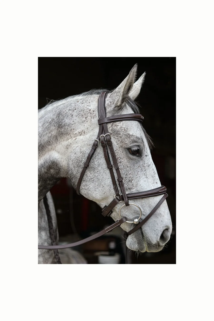Odin Snaffle Bridle