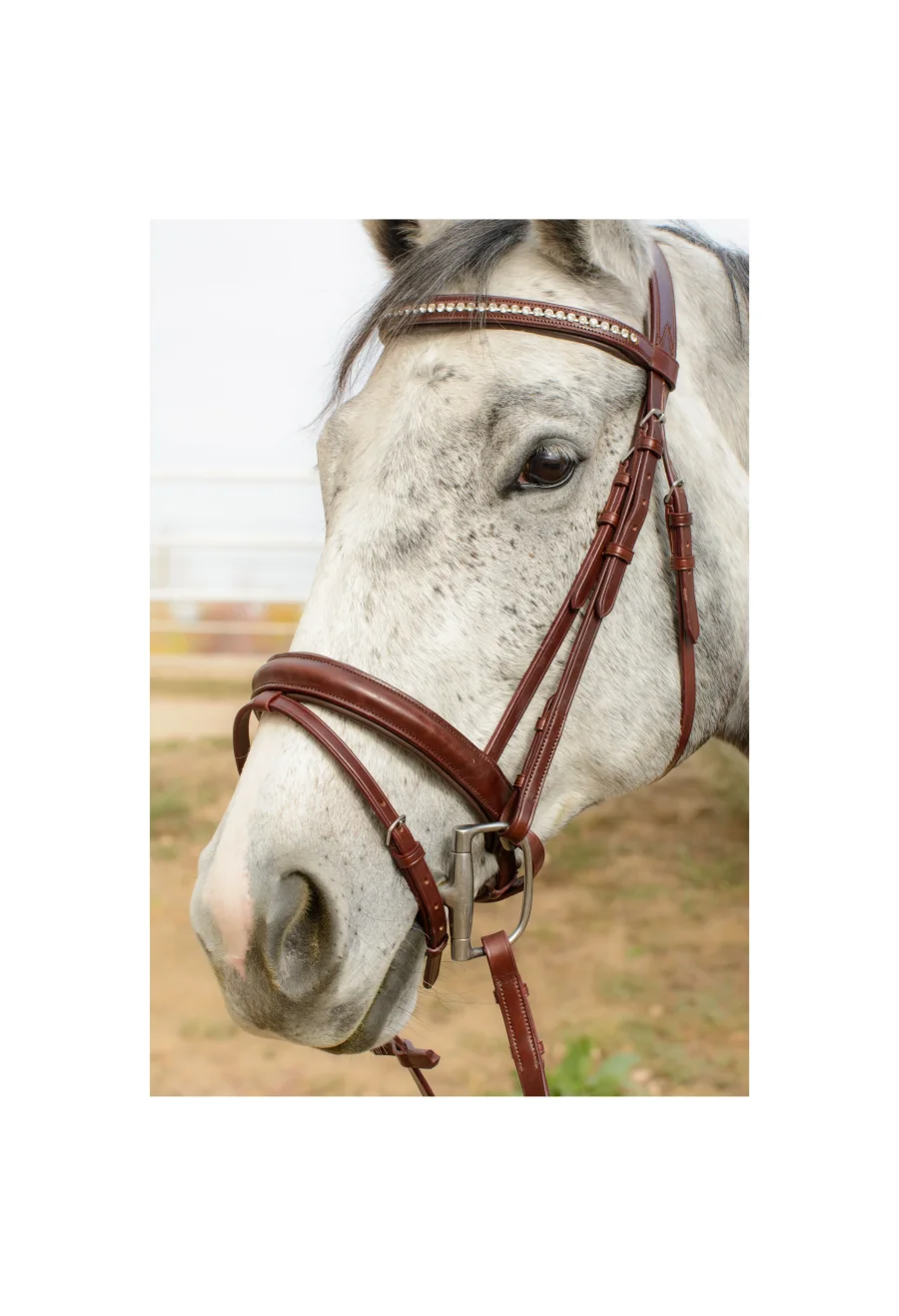 Astrid Premium Dressage Bridle