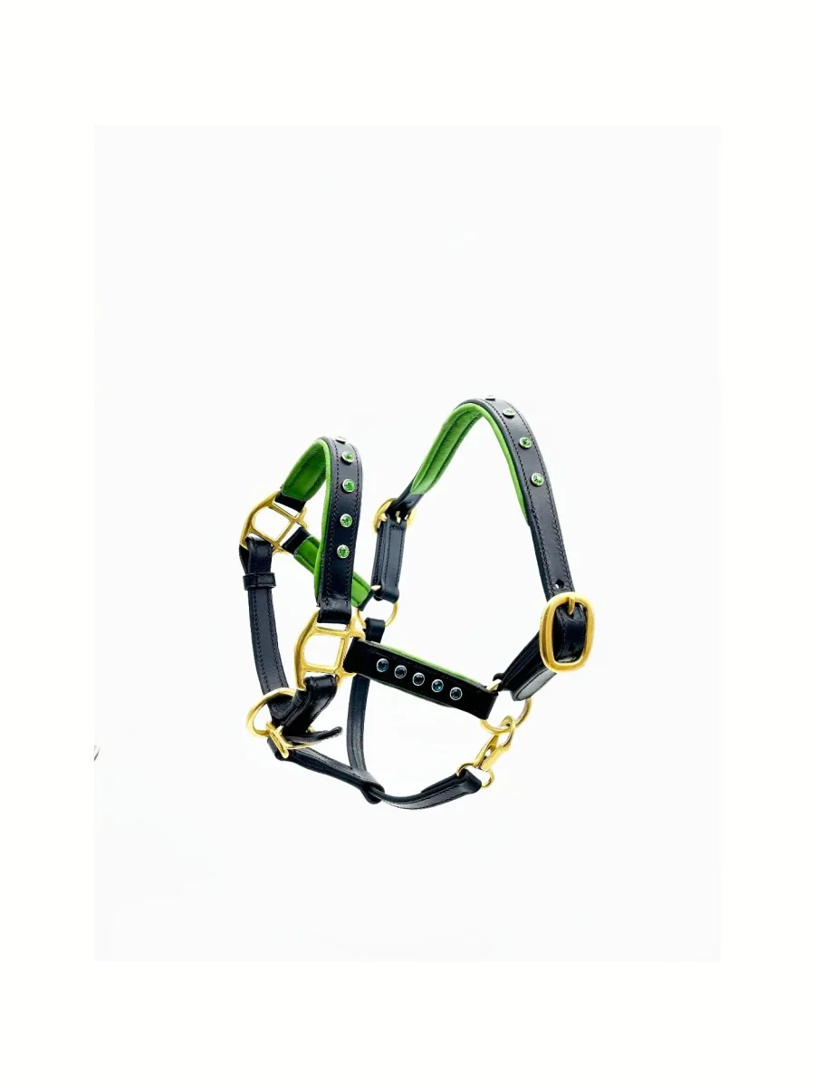 Miniature Horse Halter - Charm