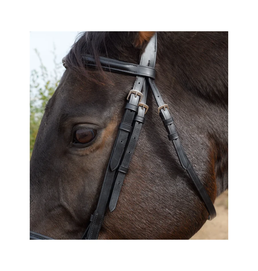Sten Snaffle Bridle with Flash