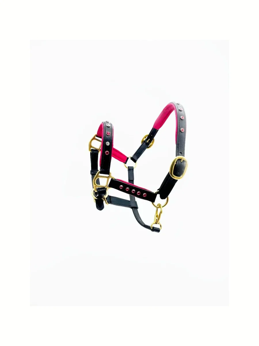 Miniature Horse Halter - Cutie