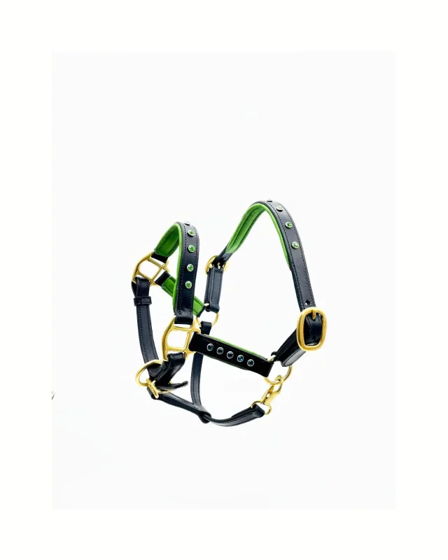 Miniature Horse Halter - Charm