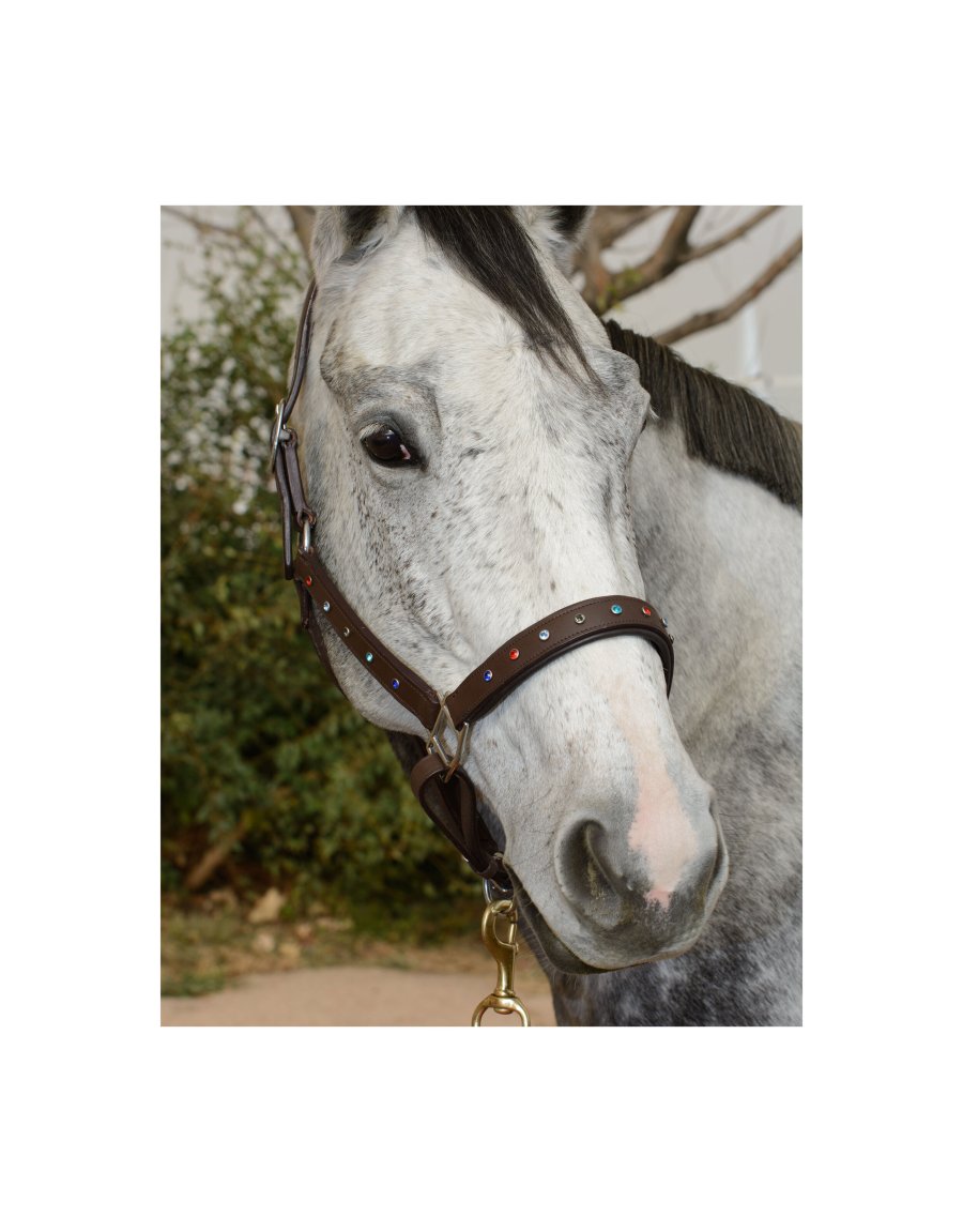Saga Leather Halter with Dazzling Rhinestones