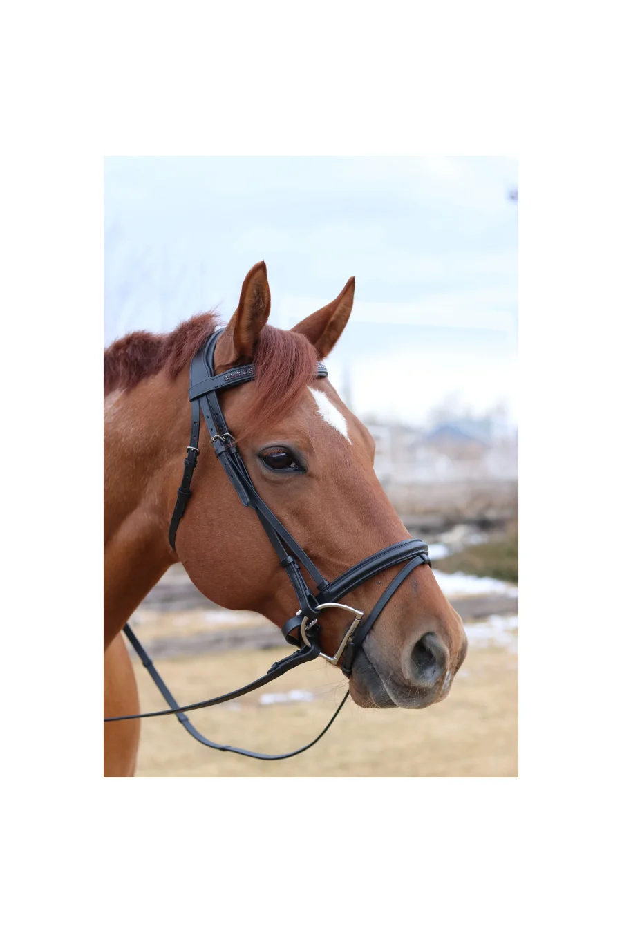Tove Simple and Classic Dressage Bridle