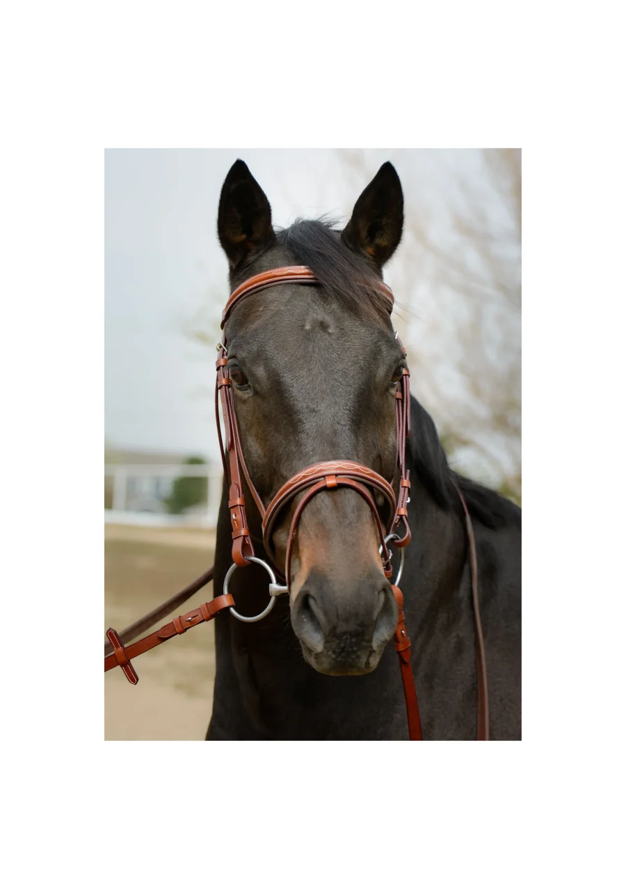 Rune Stylish Working Bridle