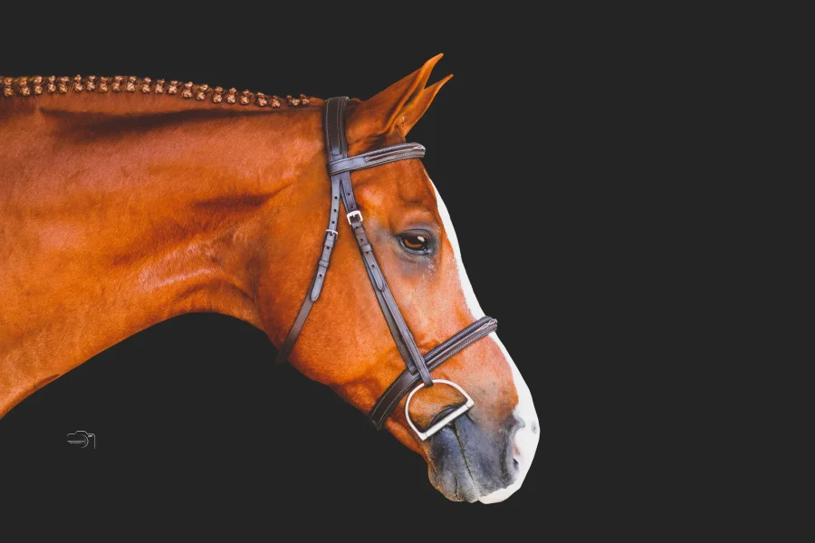 Magne Show Bridle