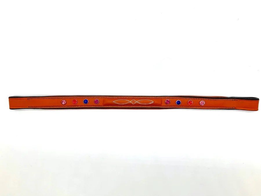 Unique Browband with Multicolored Crystals and Fancy Stitching