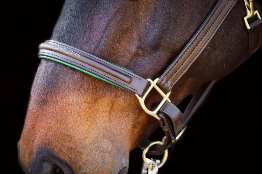 Juniper Leather Halter