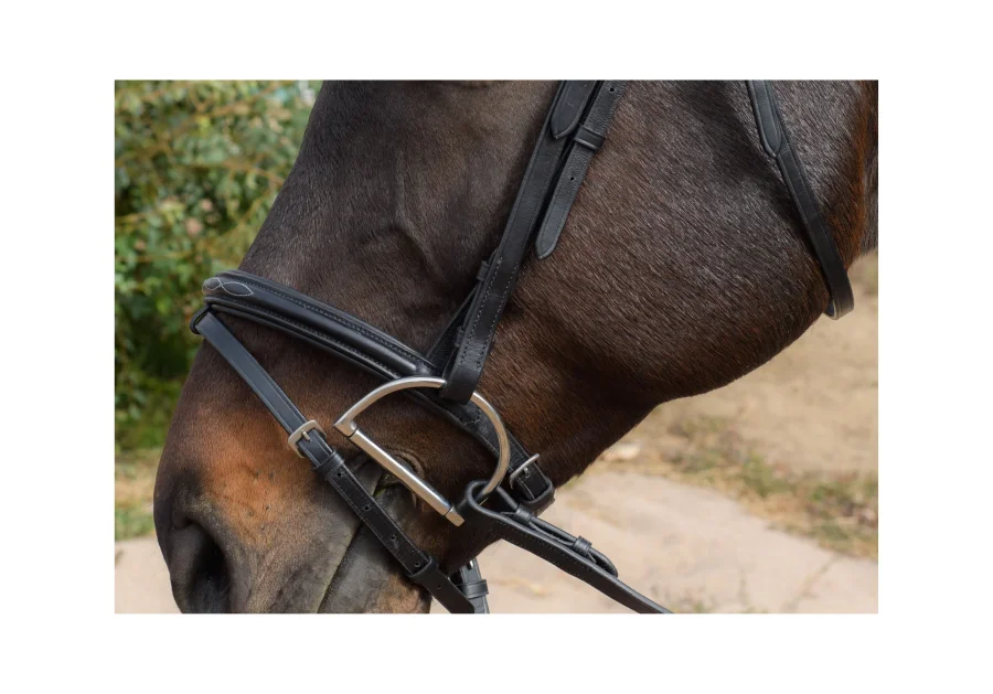 Sten Snaffle Bridle with Flash