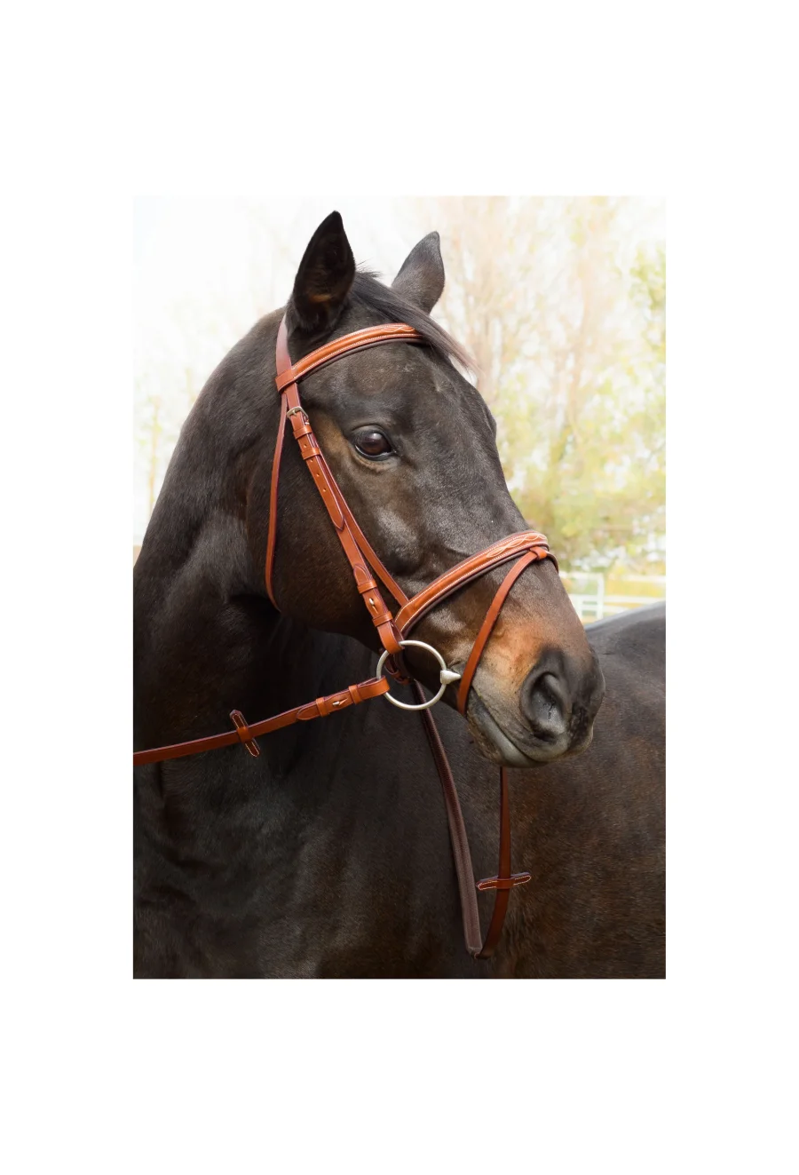 Rune Stylish Working Bridle