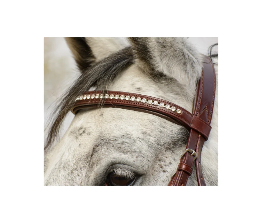Astrid Premium Dressage Bridle
