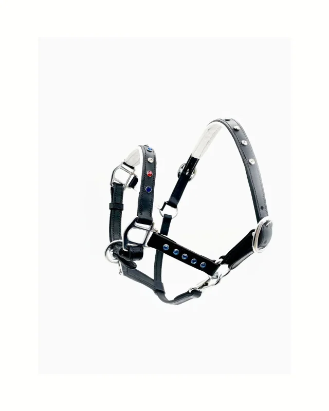 Miniature Horse Halter - Celebration