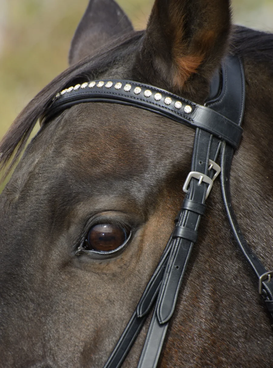 Tove Simple and Classic Dressage Bridle