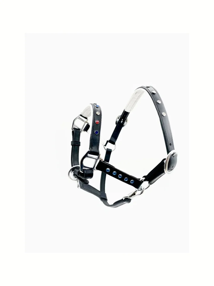 Miniature Horse Halter - Celebration