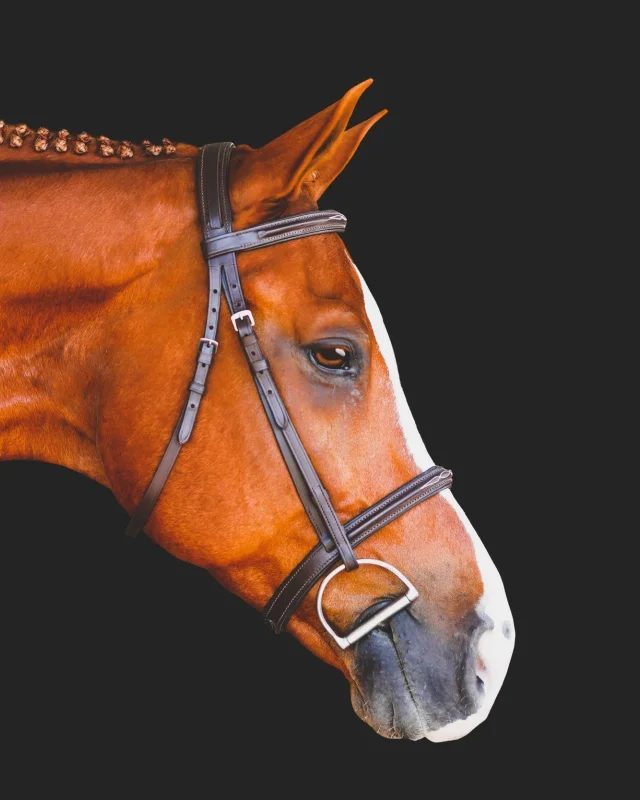 Magne Show Bridle