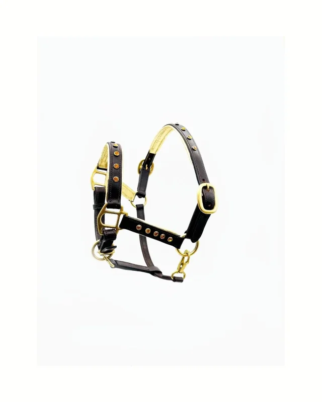 Miniature Horse Halter - Precious