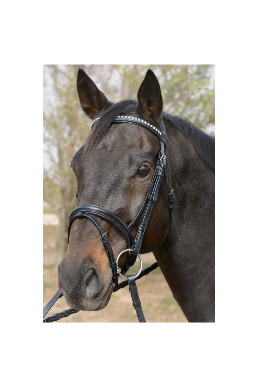 Tove Simple and Classic Dressage Bridle