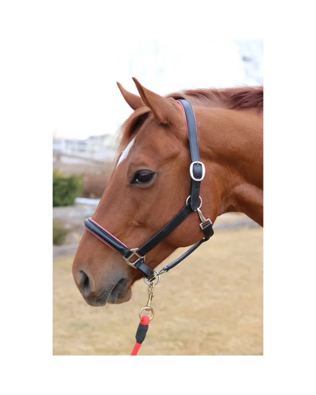 Ebbe Halter