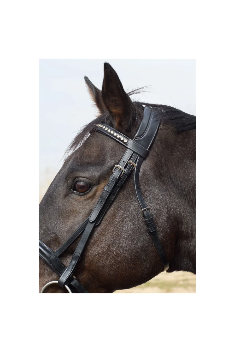 Tove Simple and Classic Dressage Bridle