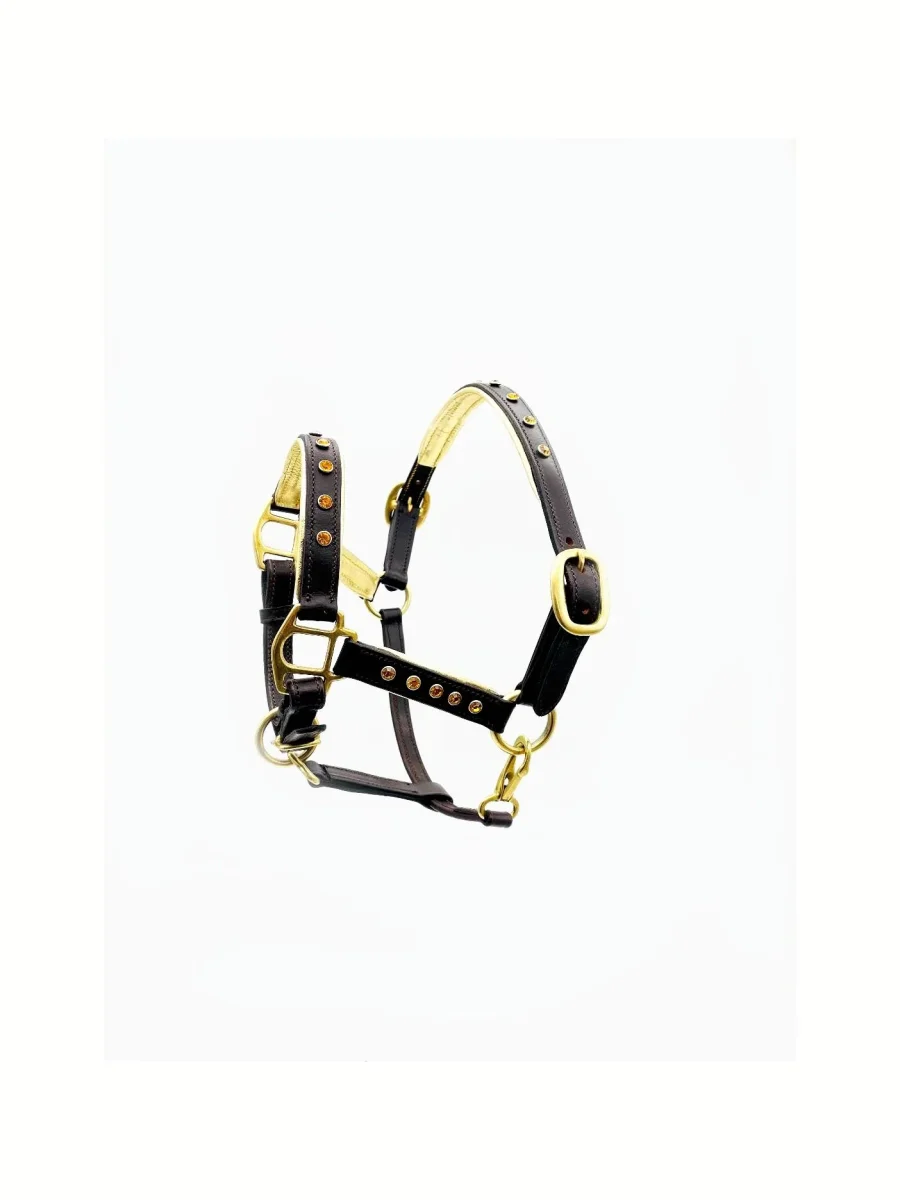 Miniature Horse Halter - Precious